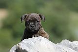 STAFFIE 050